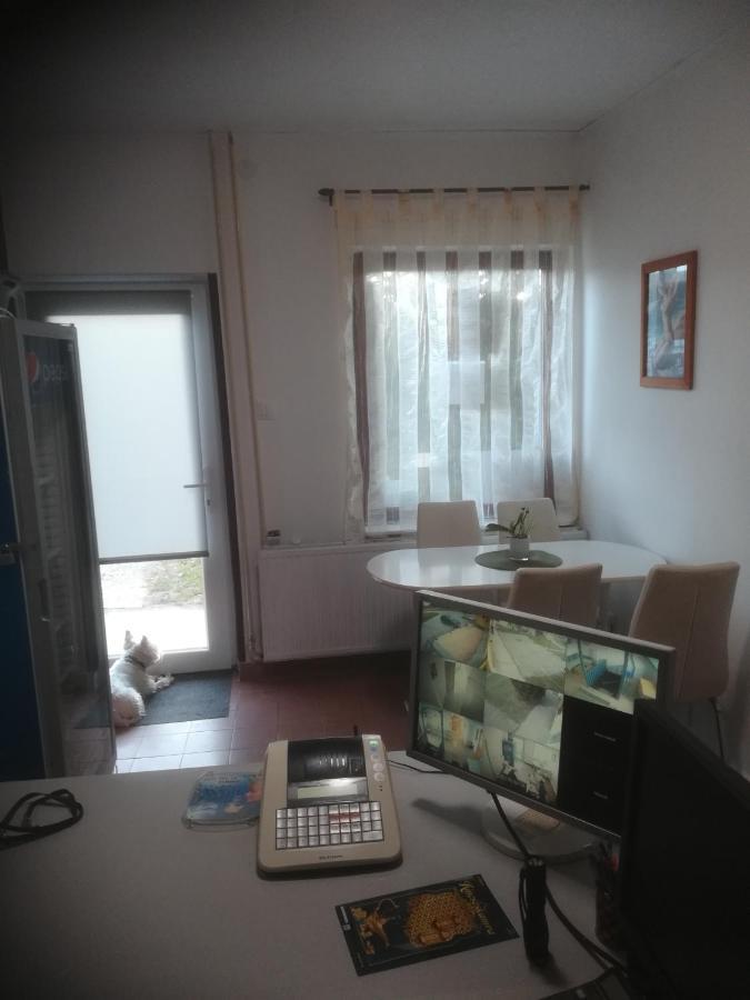 Hotel Fekete Macska Panzio Tata Exterior foto